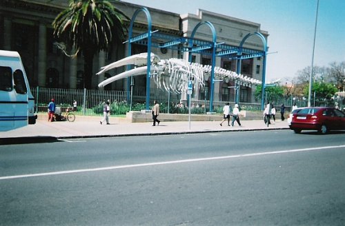 Outside museum, Johannesburg, South Africa