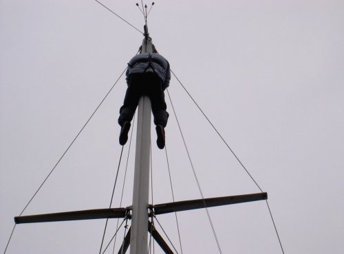 Tony up the mast
