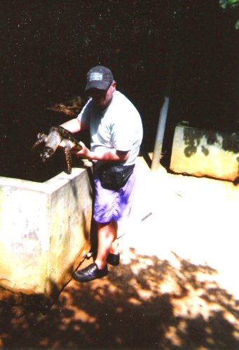Holding a baby turtle, Kosgoda Turtle Hatchery
