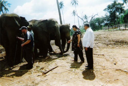 Pinnawala Elephant Sanctuary, 20 November