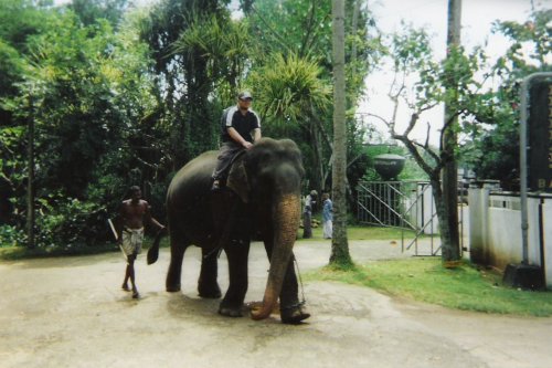 Pinnawala Elephant Sanctuary