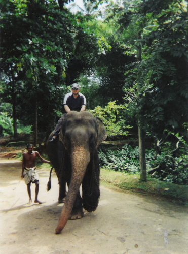 Pinnawala Elephant Sanctuary.