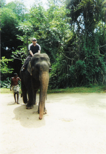 Pinnawala Elephant Sanctuary