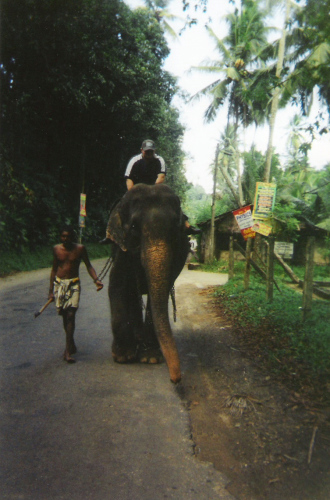 Pinnawala Elephant Sanctuary