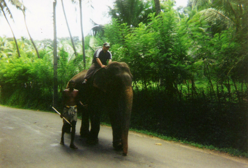 Pinnawala Elephant Sanctuary