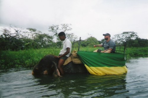 Tony with guide riding an elephant in the river, Habarana Elephant Ride