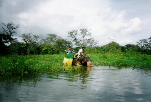 Tony with a guide entering the river, Habarana Elephant Ride