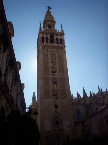 The cathedral tower (la Giralda)