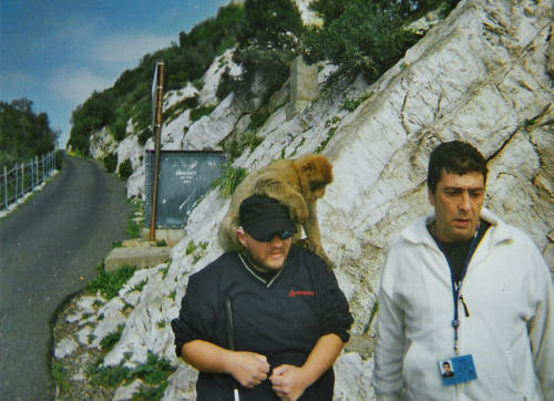 Tony with a barbary macaque (monkey) on his head.