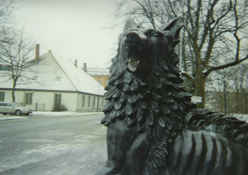 Trondheim, late February 2008